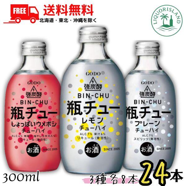 チューハイ 瓶チュー しょっぱいウメボシ　プレーン　300ml×24本×2ケース 合同酒精 GODO 瓶チュー 300ml 瓶 レモン・プレーン・しょっぱい