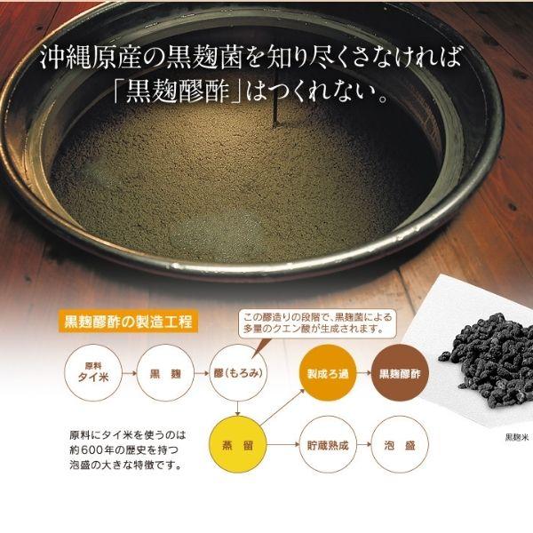 ヘリオス 黒麹もろみ酢 無糖タイプ 720ml 瓶 1ケース 12本 琉球もろみ酢 天然発酵 クエン酸飲料 ヘリオス酒造_7