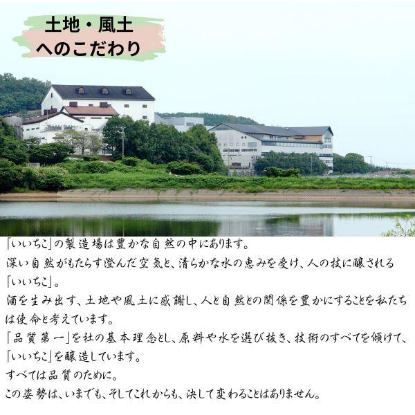 いいちこ20度 いいちこ 焼酎 20度 1.8L 1800ml パック 2ケース