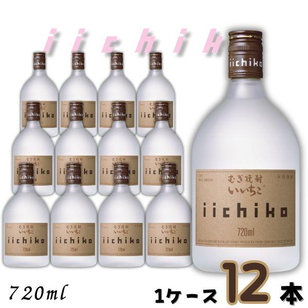 いいちこ 焼酎 720ml 25%　ケース売り‼️　12本 いいちこ 焼酎 いいち こシルエット 25度 720ml瓶 1ケース 12本 麦焼酎