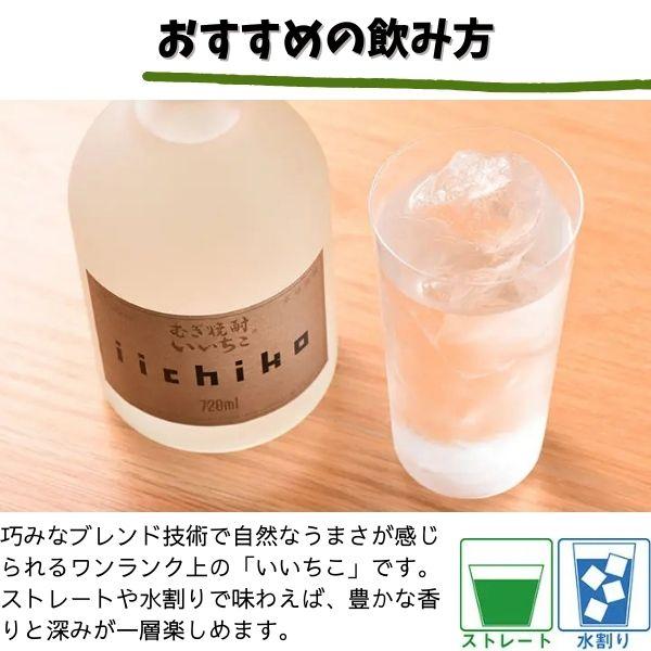 いいちこ 焼酎 いいち こシルエット 25度 720ml瓶 1ケース 12本