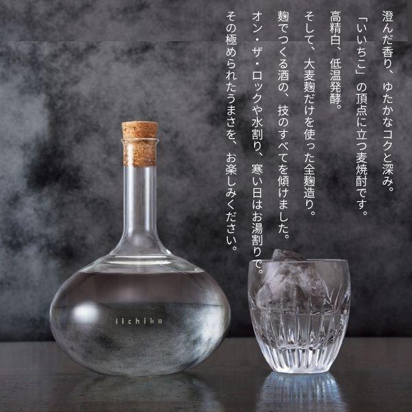 いいちこ 焼酎 フラスコ ボトル 30度 720ml 瓶 麦焼酎 三和酒類