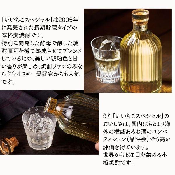いいちこ 焼酎 スペシャル 30度 720ml瓶 1ケース（6本） 麦焼酎 三和
