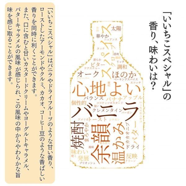 いいちこ 焼酎 スペシャル 30度 720ml瓶 1ケース（6本） 麦焼酎 三和