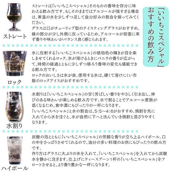 いいちこ 焼酎 スペシャル 30度 720ml瓶 1ケース（6本） 麦焼酎 三和