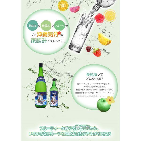 夢航海 泡盛 30度 1.8L 瓶 2本 1800ml 焼酎 忠孝酒造 送料無料