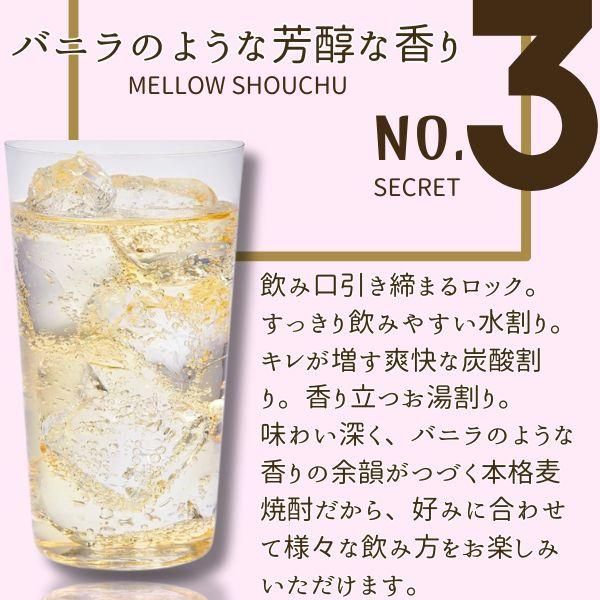 隠し蔵 焼酎 25度 1.8L パック 1ケース 6本 1800ml 麦焼酎 濱田酒造
