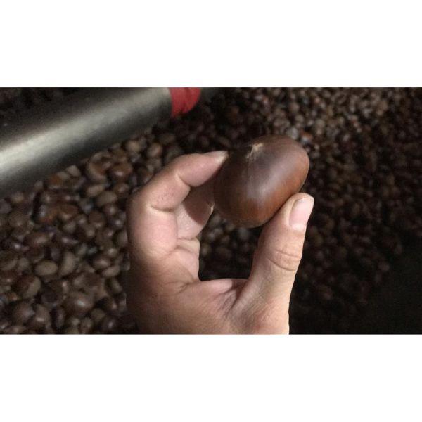 媛囃子 おくりおくら 25度 720ml 瓶 1ケース 6本 栗焼酎 媛囃子の画像