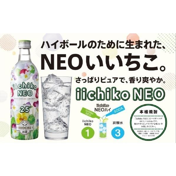 いいちこ25度 いいちこ 焼酎 いいちこネオ iichiko NEO 25度 500ml 瓶