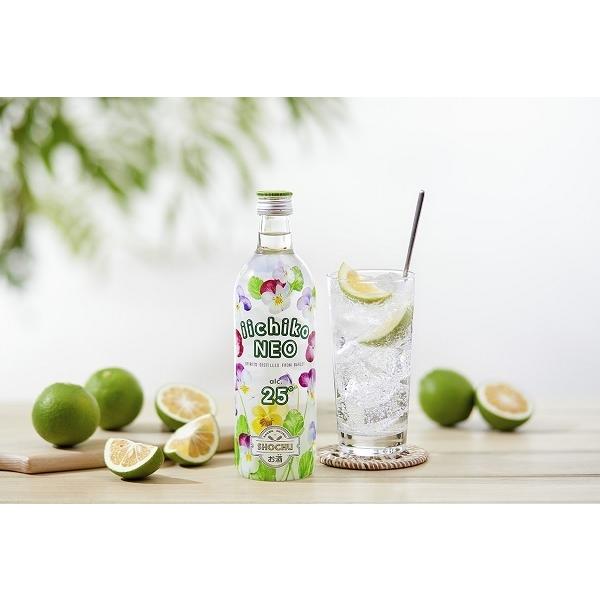 いいちこ25度 いいちこ 焼酎 いいちこネオ iichiko NEO 25度 500ml 瓶