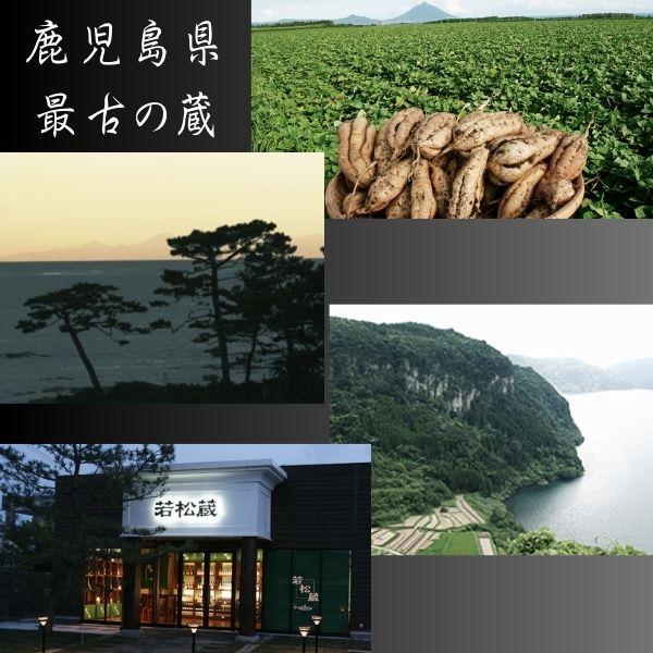 若松酒造 薩摩一 25度 芋 4L ペット 1ケース 4本 4000ml 芋焼酎