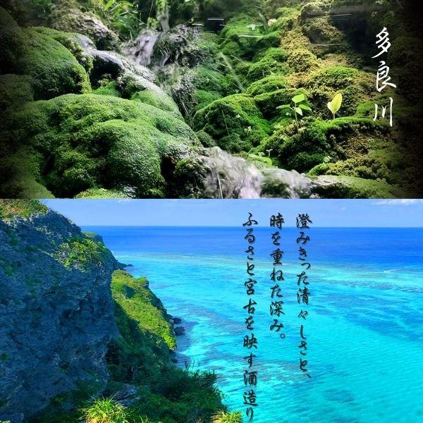 琉球王朝 泡盛 30度 720ml 瓶 1ケース 12本 箱付き 琉球泡盛 古酒