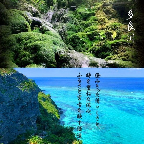 琉球王朝 泡盛 30度 720ml 瓶 箱付き 琉球泡盛 古酒ブレンド 多良川