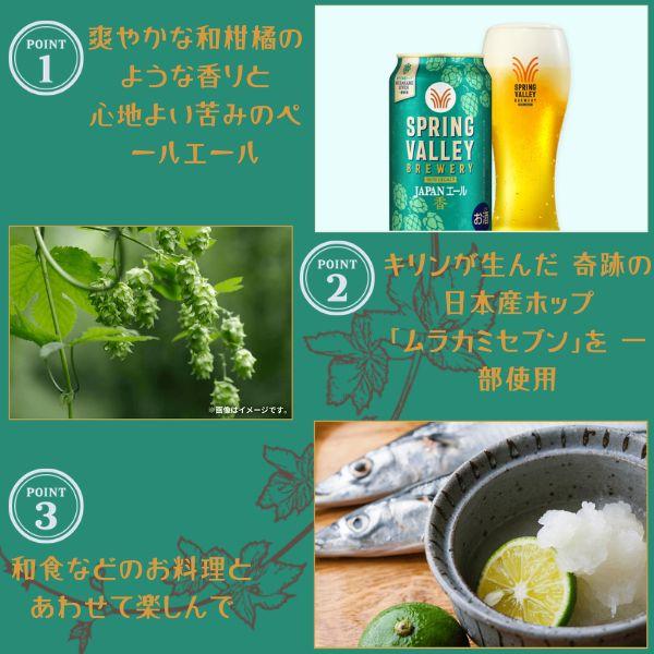 キリン（KIRIN） スプリング バレー JAPANエールエール 350ml 缶 48本