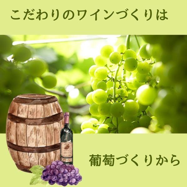 シャトー 勝沼 酸化防止剤 無添加 赤わいん 甘口 720ml 瓶 シャトー勝沼｜liquorisland｜05