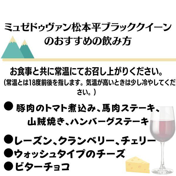 信州ワイン ミュゼドゥヴァン 松本平 ブラッククイーン 赤 辛口 720ml 瓶 6本 アルプス ワイン 送料無料_4