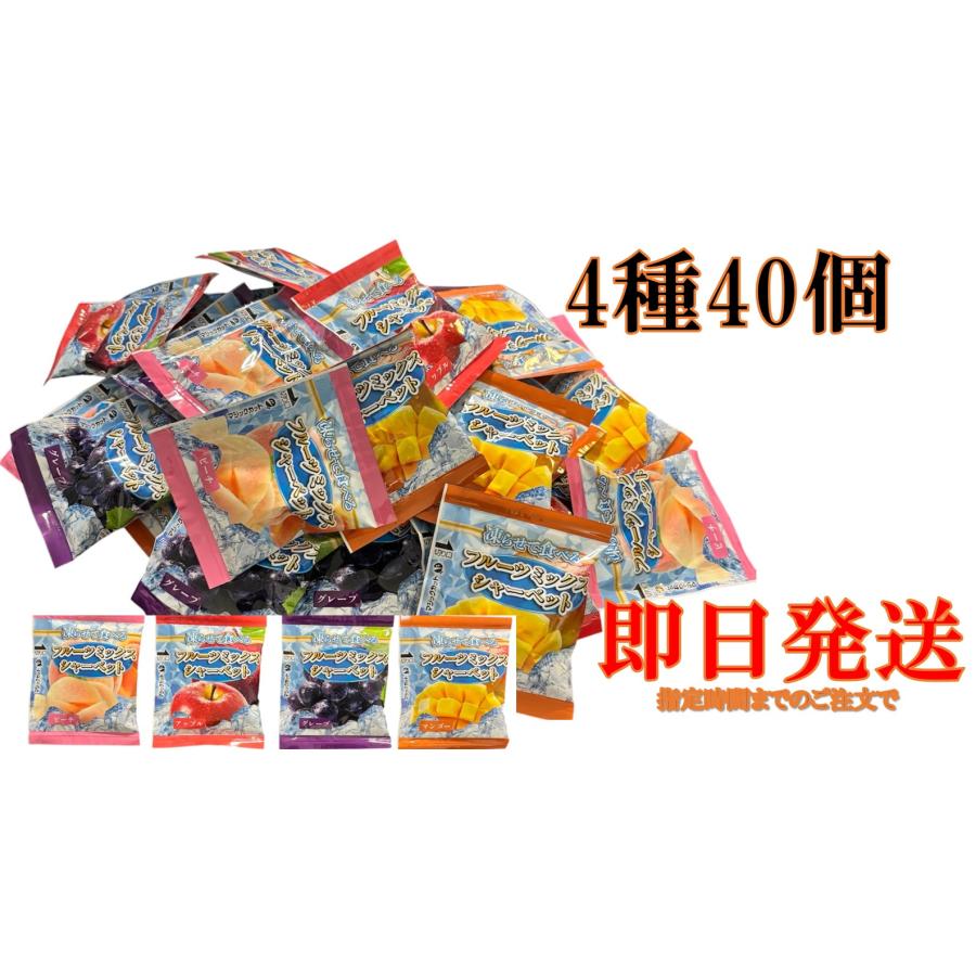 フルーツミックスシャーベット 凍らせて食べる 雪国あぐり 4種×10袋
