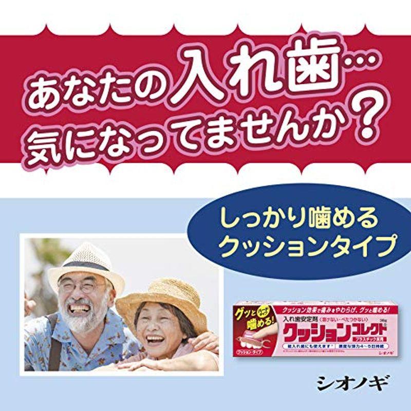 クッション コレクト 36g コレクト 36g