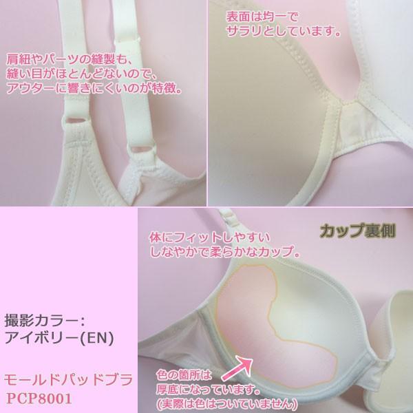 LISE CHARMEL★アンダーワイヤーブラFR85D LISE CHARMEL☆アンダーワイヤーブラFR85D