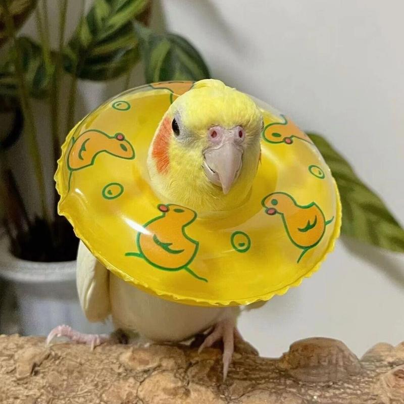 シーグラスアート 3羽の仲良しインコ　小鳥　うちの子グッズ ちーちゃんさま専用ページ シーグラスアート インコちゃん3羽