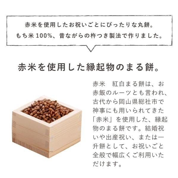 出産祝い 誕生日 名入れベビーリュック（お絵かきステッチ）＆一升餅セット（小分け50個） 男の子 女の子 ギフト 1歳 誕生日 お祝い 名前入り リシュマム｜lisumom｜22