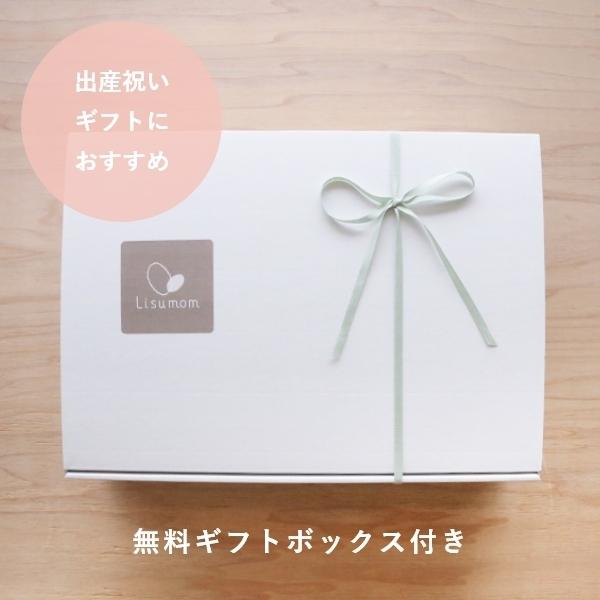 子育ての相棒 ファミリーバッグ Lisumom マザーズバッグ : 出産祝い名