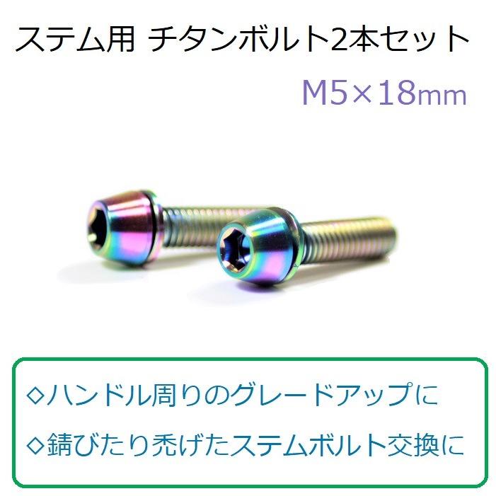 ステム用チタンボルト2本セット | 