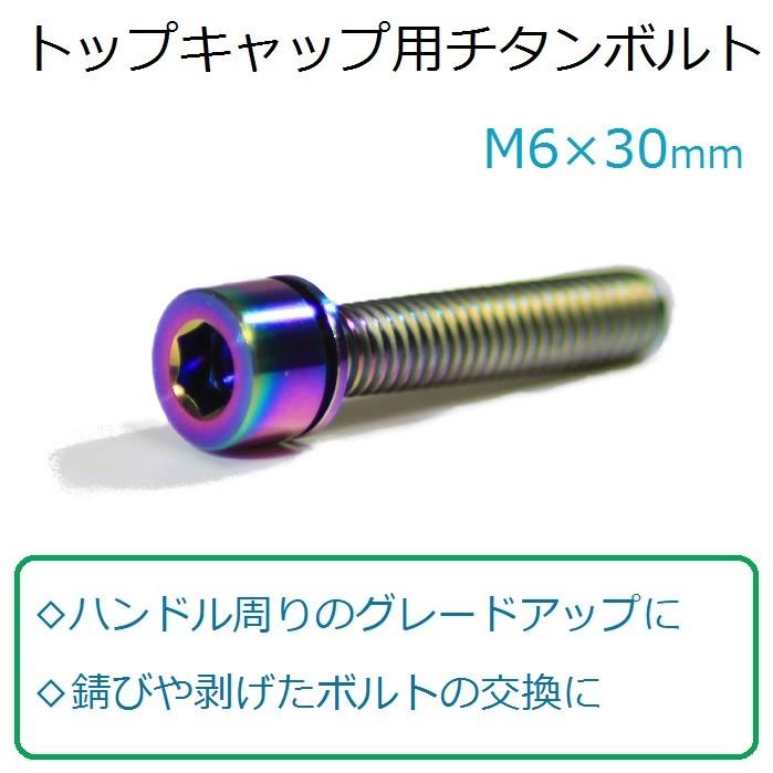 トップキャップ用チタンボルト 1本　M6×30mm | 