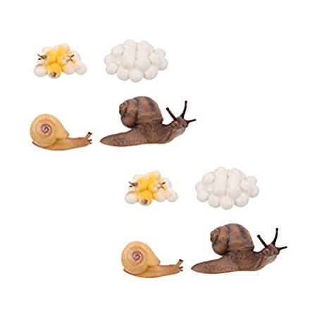 DOITOOL 2 Sets Insect Figurines Life Cycle Insect Growth Cycle Model Hand P