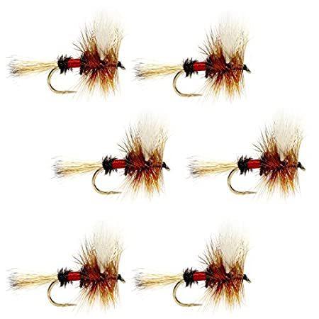 特別価格the Fly Fishing Place Royal Wulff クラシック トラウト ドライフライフィッシングフライ 6個セット サイズ12好評販売中 ワーム Thebestboatbrands Force5 Dev