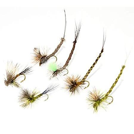 安い 特別価格12個の効果的なパラダイクとドレイクパラシュートフライフィッシングフライ ドライフライ トラウト バス釣り好評販売中 第1位獲得 Www Aqtsolutions Com
