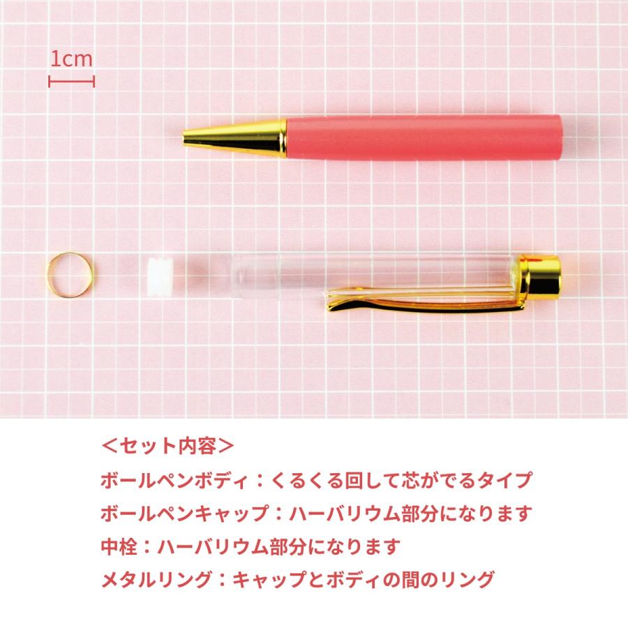 新色登場／【替え芯付き】ハーバリウムボールペン10本セット☆150色