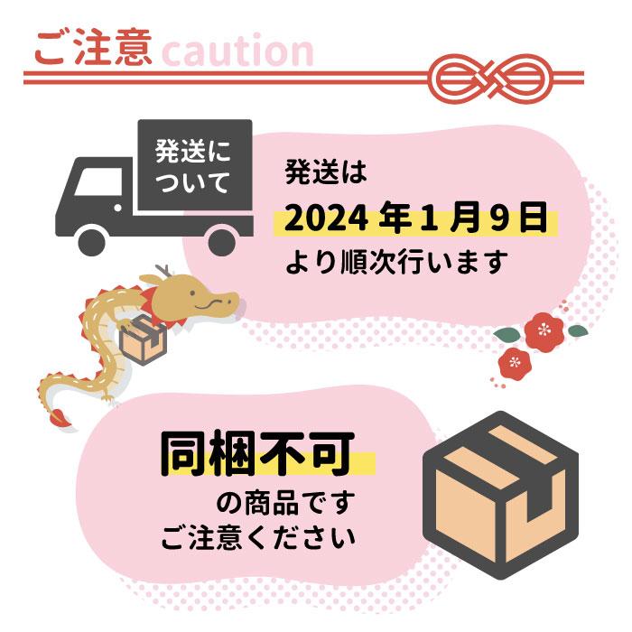 50セット限定／本気のレジンアイテム デラックス福袋 2024！総額26,000