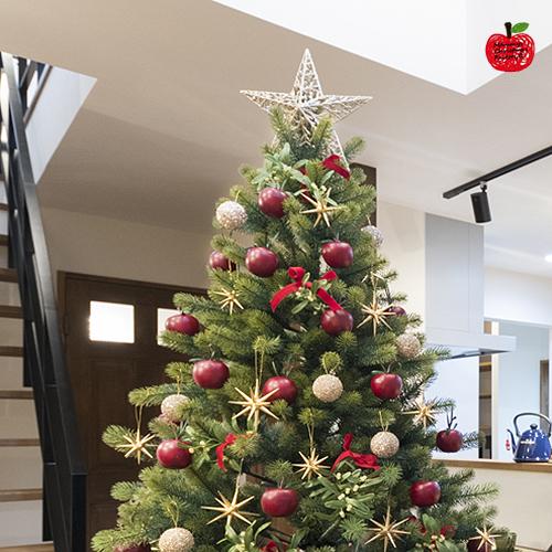 オリジナルクリスマス用品】スカッと！シダーツリートップL : りとる