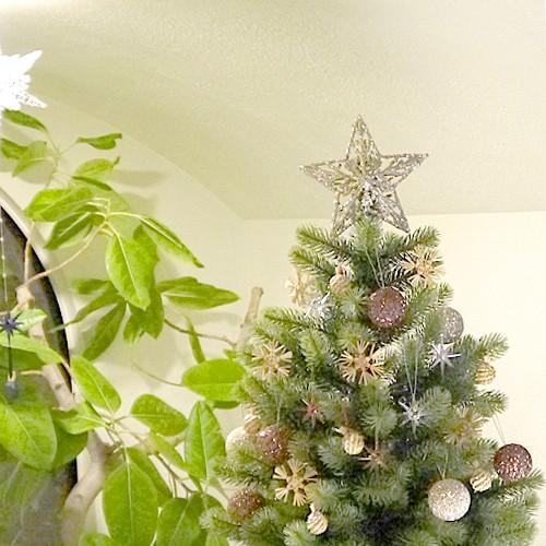 オリジナルクリスマス用品】スカッと！シダーツリートップS : りとる