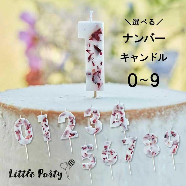 ナンバーキャンドル フラワーNo.0〜9 数字 Pressed Petal Birthday