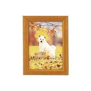 （まとめ）フジカラー 写真立て Mt-K2 ブラウン〔×30セット〕