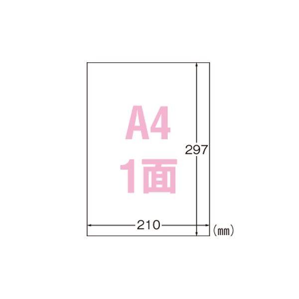 （まとめ） エーワン 屋外でも使えるサインラベルシール ツヤ消しフィルム・ホワイト 31047 30枚入 〔×2セット〕