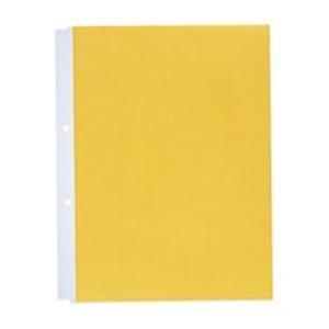 (業務用100セット) LIHITLAB クリヤーポケット クリアポケット N-2101 A4S 2穴 10枚 黄