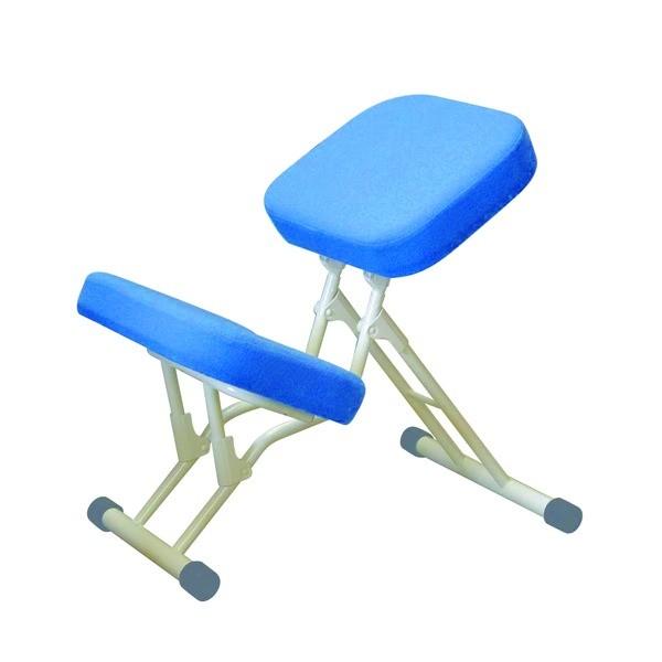 学習椅子/ワークチェア 〔ブルー×ミルキーホワイト〕 幅440mm 日本製 折り畳み スチールパイプ