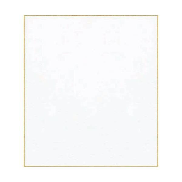 （まとめ）菅公工業 立てかけ色紙 50枚 白 ケ139-50〔×5セット〕