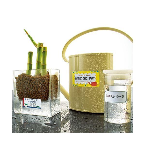 (まとめ) コクヨカラーレーザー＆カラーコピー用耐水紙ラベル A4 24面 31×62mm LBP-WP6924N1冊(20シート) 〔×10セット〕の画像