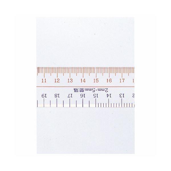 (まとめ) ライオン事務器 アクリル直線定規30cm No.10 1セット(10本) 〔×10セット〕_1