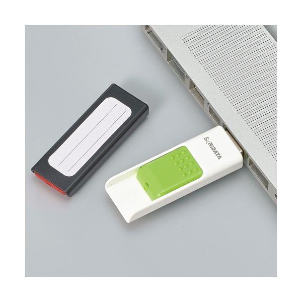 まとめ) RiDATA ラベル付USBメモリー32GB ホワイト/グリーン RDA