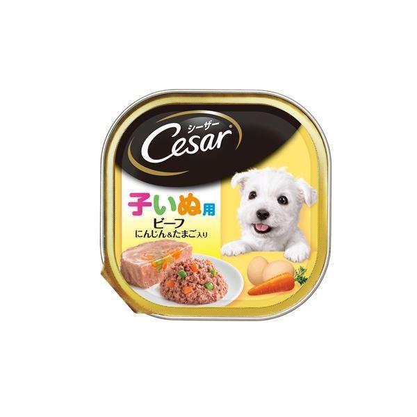 〔まとめ〕 ドッグフード ペットフード シーザー 2ヶ月からの子いぬ用 ビーフ にんじん＆たまご入り 100g 96セット ペット用品〔代引不可〕