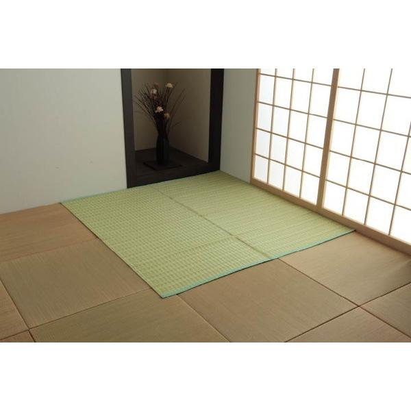 い草風 ラグマット/絨毯 〔ブラウン 本間6畳 約286×382cm〕 洗える 日本製 防ダニ PPカーペット 〔リビング〕_11