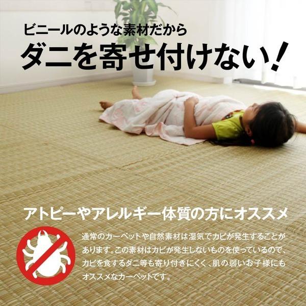 い草風 ラグマット/絨毯 〔ブラウン 本間6畳 約286×382cm〕 洗える 日本製 防ダニ PPカーペット 〔リビング〕_6