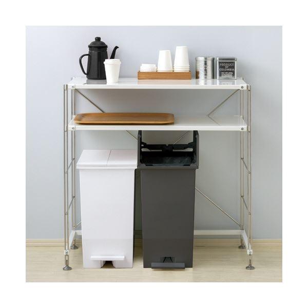 低価，得価 (まとめ) リス 棚下で使えるペダルダストボックス 45L