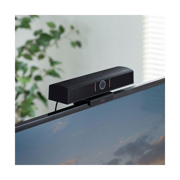 定番のお歳暮 サンワサプライ スピーカー内蔵Webカメラ ブラック CMS-V48BKN 1台