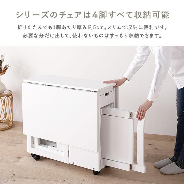 ダイニングセット 5点セット 〔 折りたたみ テーブル チェア 4脚
